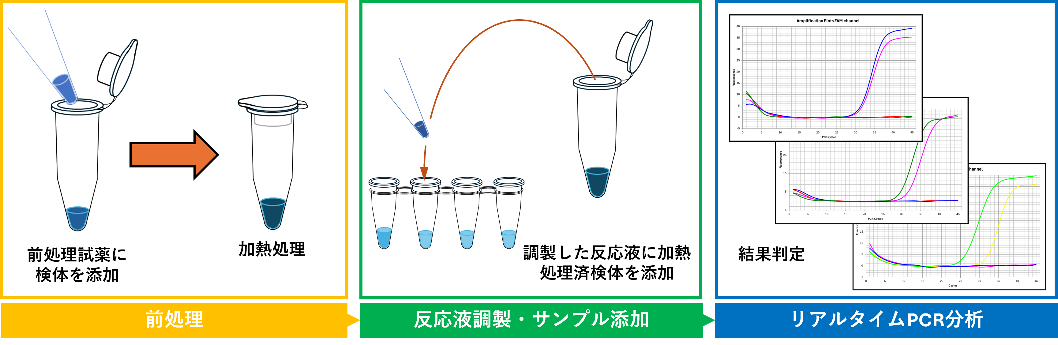 プロトコール