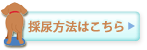 採尿方法はこちら
