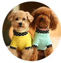 二匹の犬